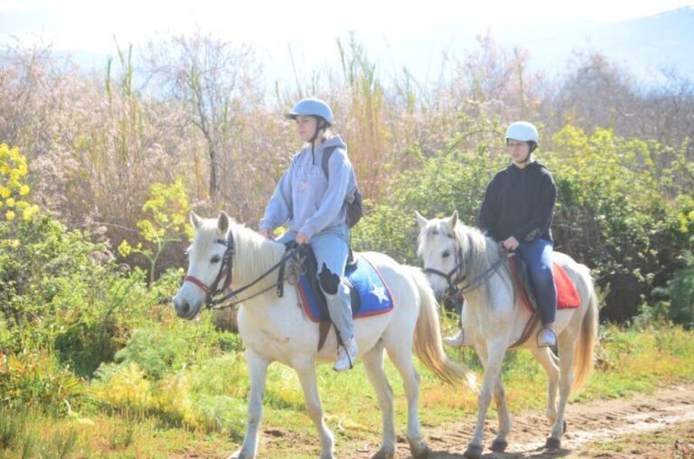 Kusadasi: Beach and Forest Horse Riding Tour - The Sum Up