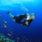 Kusadasi: Diving Experience with Lunch and Transfer - Authentic Traveler Insights