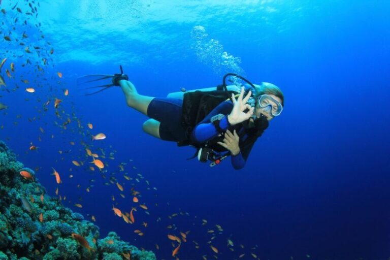 Kusadasi: Diving Experience with Lunch and Transfer - Authentic Traveler Insights