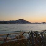 Kusadasi: Ephesus, St. John's Basilica, and Virgin Mary Tour - Who Should Consider This Tour?