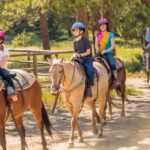 Kusadasi: Horse Riding Beach and Forest w/Transfer - A Detailed Look at the Kusadasi Horse Riding Experience