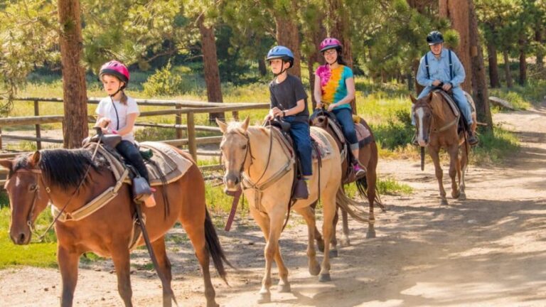Kusadasi: Horse Riding Beach and Forest w/Transfer - A Detailed Look at the Kusadasi Horse Riding Experience