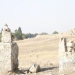 Kusadasi or Selcuk: Pamukkale Guided Group Tour - What’s the Value?