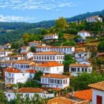 Kusadasi Port Private Ephesus Tour & Sirince Village with LUNCH - The Sum Up: Who Will Enjoy This Tour?