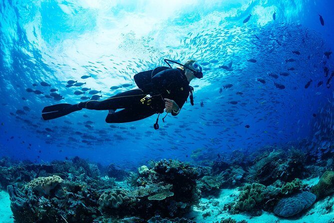 Kusadasi Scuba Diving Experience w/Instructor incl. Transfer - Who Is This Tour Best For?