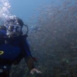 Kusadasi Scuba Diving Tour By Local Experts - What’s Included & What to Consider