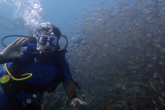 Kusadasi Scuba Diving Tour By Local Experts - What’s Included & What to Consider