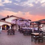 Kusadasi Shore Excursions Ephesus and Wine Tasting Tours - The Highlight: Wine Tasting in Sirince