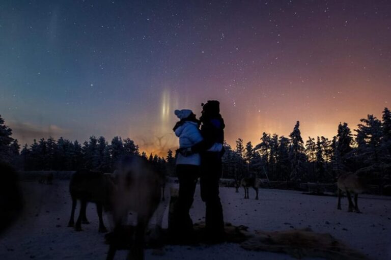 Kuusamo: Reindeer Farm Visit - Who Will Love This Tour?