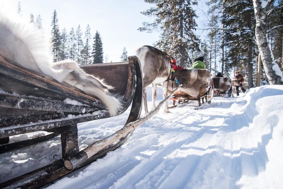 Kuusamo: Reindeer Sleigh Ride and Farm Visit - Who Will Love This Tour