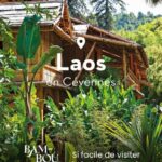 La Bambouseraie en Cévennes Ticket - A Detailed Look at the Experience