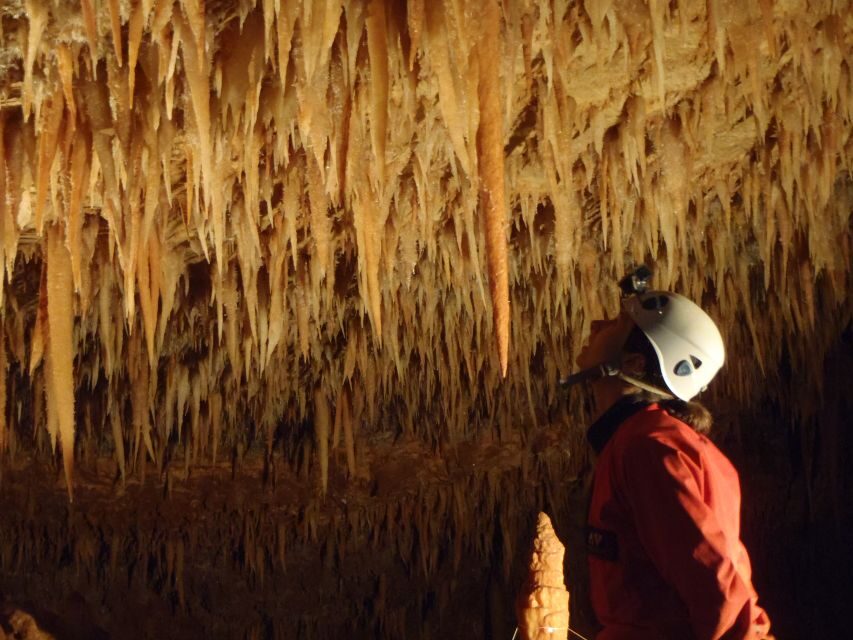 La Ciotat: Caving in Calanques National Park Half-Day Tour - What’s Included and What’s Not