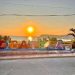 La Crucecita: Magic Lagoon Bioluminescence and Turtles Tour - Escobilla Beach: Turtle Conservation