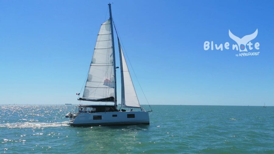 La Flotte, Ile de Ré: Sailing Catamaran Cruise - Summary: Why choose this tour?
