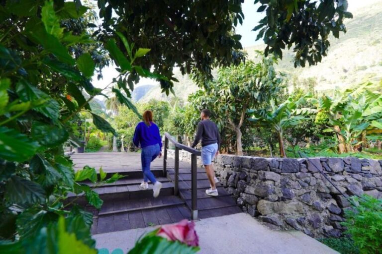 La Gomera: Entry Ticket for The Ethnographic Park - A Closer Look at the Ethnographic Park Experience