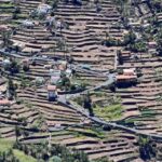 La Gomera: Garajonay National Park Entry Ticket and Tour - Who Will Enjoy This Tour?