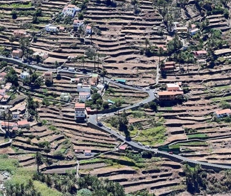 La Gomera: Garajonay National Park Entry Ticket and Tour - Who Will Enjoy This Tour?