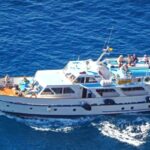 La Gomera: Whale Watching Tour on an Vintage Boat - A Detailed Look at the Whale Watching Experience