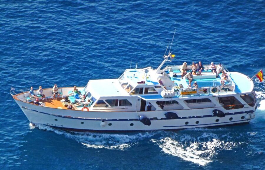 La Gomera: Whale Watching Tour on an Vintage Boat - A Detailed Look at the Whale Watching Experience