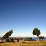 La Jolla Jig Scavenger Hunt - An In-Depth Look at the La Jolla Jig Scavenger Hunt