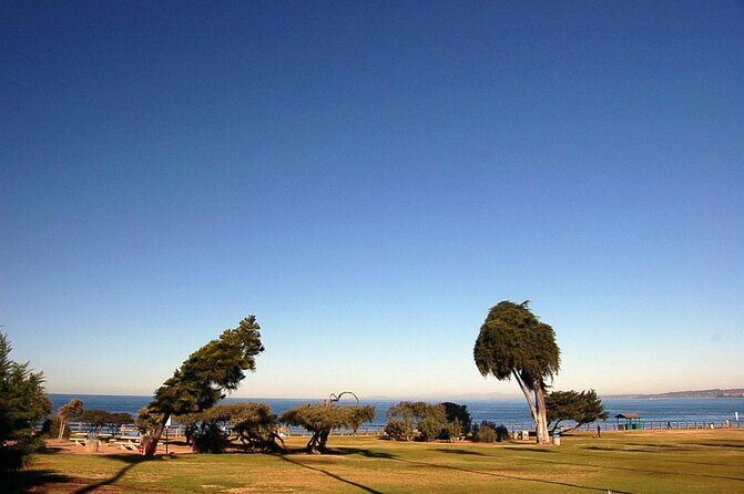 La Jolla Jig Scavenger Hunt - An In-Depth Look at the La Jolla Jig Scavenger Hunt