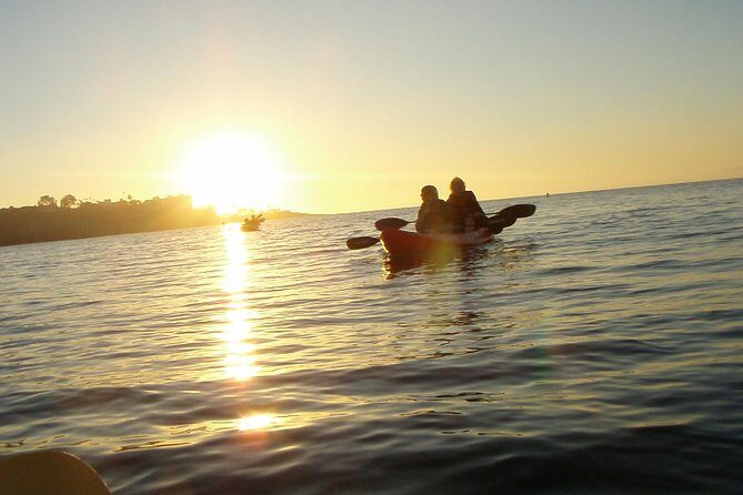 La Jolla Kayak Rental - Who Will Love This Tour?