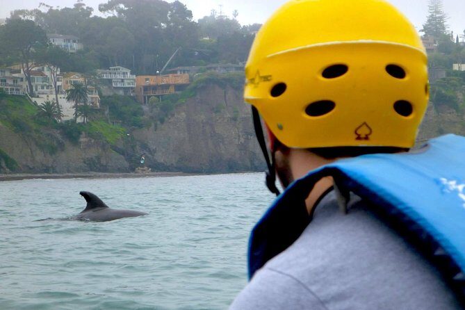 La Jolla Sea Caves Kayak Tour For Two (Tandem Kayak) - An In-Depth Look at the La Jolla Sea Caves Kayak Tour