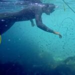 La Jolla Snorkel with the Leopard Sharks - Who Should Consider This Tour?