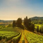 La Madama: A Journey through Piedmont's Tradition and Wines - FAQ
