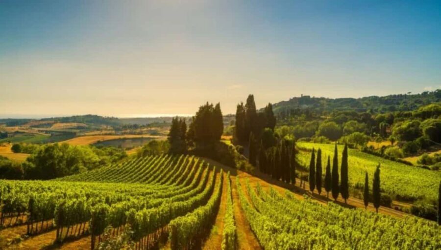 La Madama: A Journey through Piedmont's Tradition and Wines - FAQ