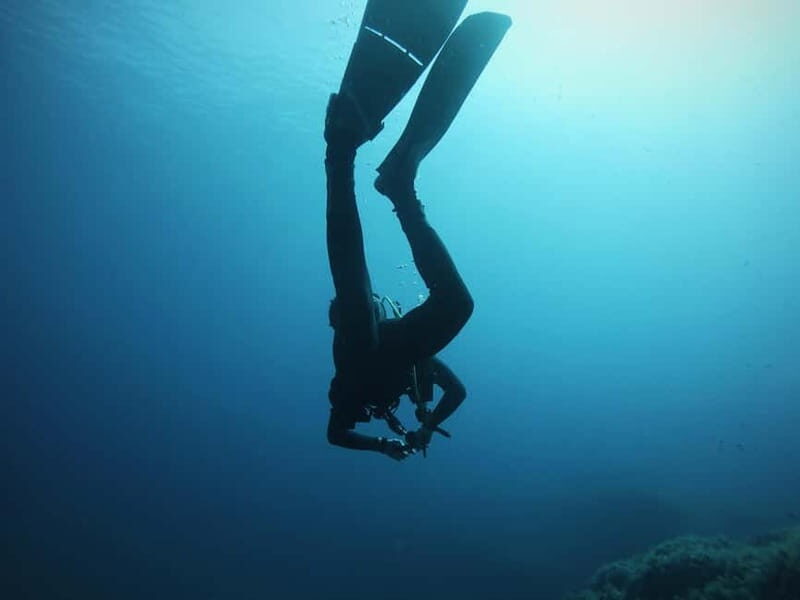 La Maddalena Archipelago & Lavezzi: Adventure Dives trip - The Full Experience: What to Expect from Start to Finish