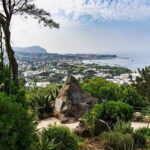 La Mortella Gardens excursion from Ischia - The Practical Side: Price, Duration, and Value