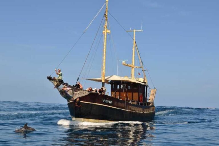 La Palma: 4 Stunden Bussard Classic Tour - The Sum Up