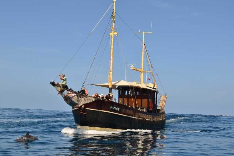 La Palma: 4 Stunden Bussard Classic Tour - The Sum Up
