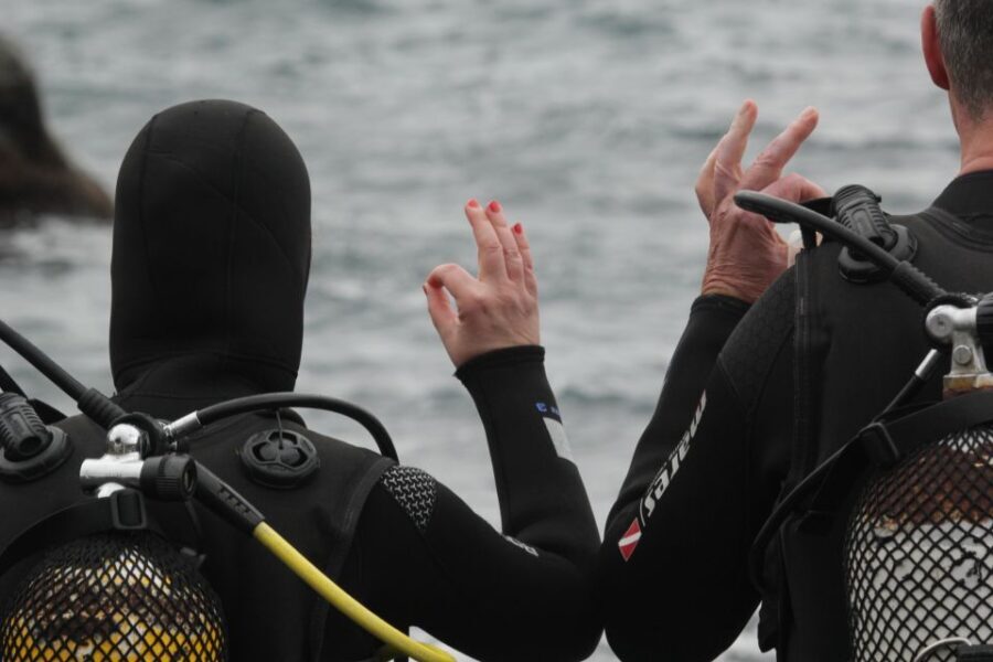 La Palma: Basic Diver Certification with 2 Atlantic Dives - Who Should Consider This Tour?