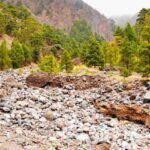 La Palma: Caldera de Taburiente National Park Guided Hike - Exploring La Palma’s Caldera de Taburiente: A Detailed Review