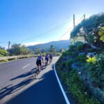 La Palma: Discover the south of the island on a road bike - A Deeper Look at the La Palma Road Bike Tour