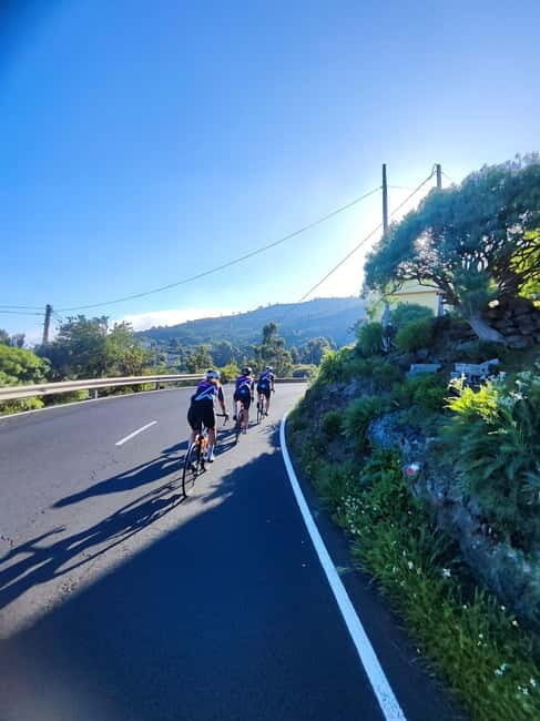 La Palma: Discover the south of the island on a road bike - A Deeper Look at the La Palma Road Bike Tour