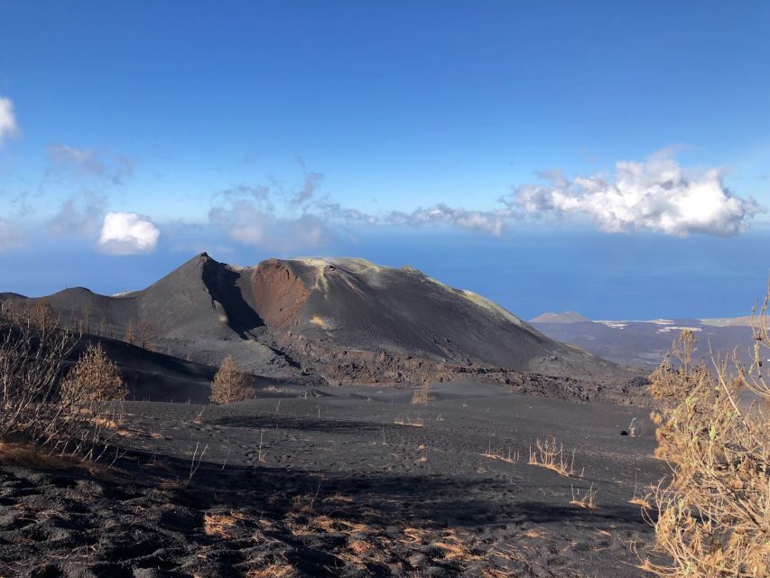 La Palma: Guided Tour to Tajogaite Volcano with Transfer - Why This Tour Stands Out