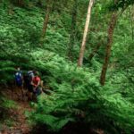 La Palma: Guided Trekking Tour To Cubo de la Galga - Why This Tour Offers Great Value