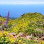 La Palma: Guided Trekking Tour to El Roque de los Muchachos - Why You Should Consider This Tour