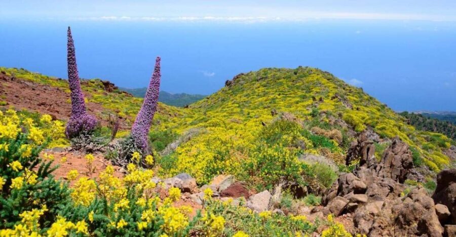 La Palma: Guided Trekking Tour to El Roque de los Muchachos - Why You Should Consider This Tour