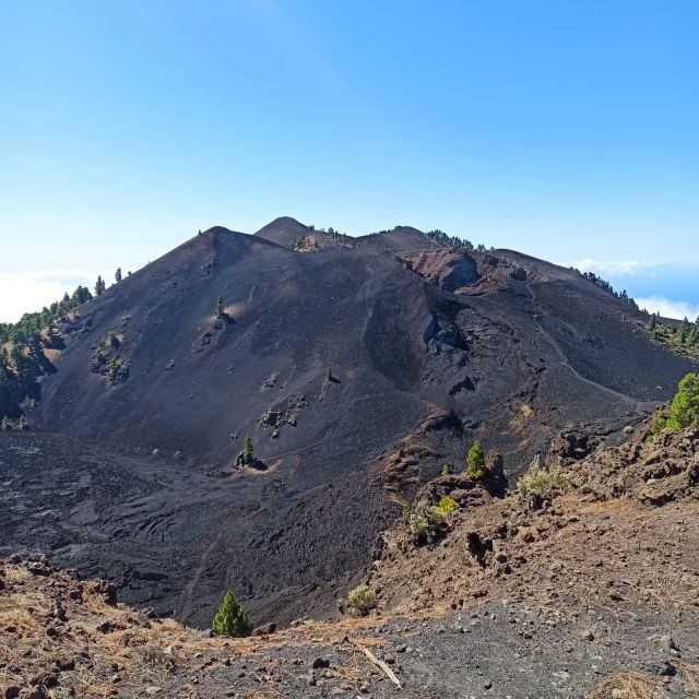 La Palma: Guided trekking tour to volcanoes south - The Sum Up