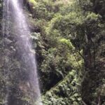 La Palma: North Island Bus Tour with Ron Aldea Distillery - The Experience: What Makes It Stand Out
