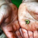 La Palma: PlatanoLógico Edible Forest Tour - Frequently Asked Questions