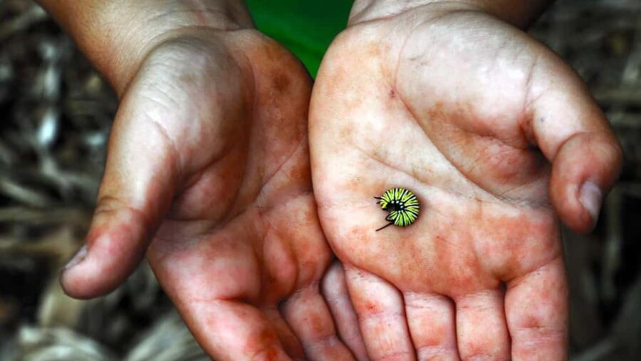 La Palma: PlatanoLógico Edible Forest Tour - Frequently Asked Questions