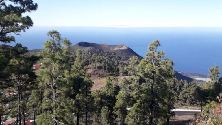 La Palma: San Antonio and Teneguia Volcanos Tour by 4x4 Bus - Frequently Asked Questions
