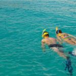 La Palma : Snorkeling Tour in Los Cancajos - Who Will Love This Tour