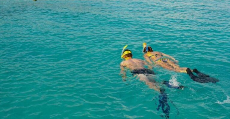 La Palma : Snorkeling Tour in Los Cancajos - Who Will Love This Tour