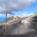 La Palma: Tajogaite Volcano Guided Hike ( ES-ED ) - A Deep Dive into the La Palma: Tajogaite Volcano Guided Hike